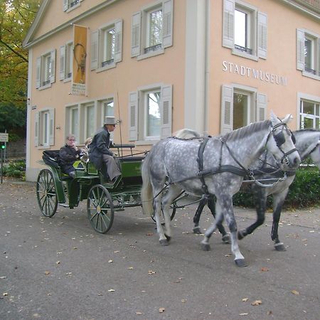 Du Russel Suite Baden-Baden Dış mekan fotoğraf